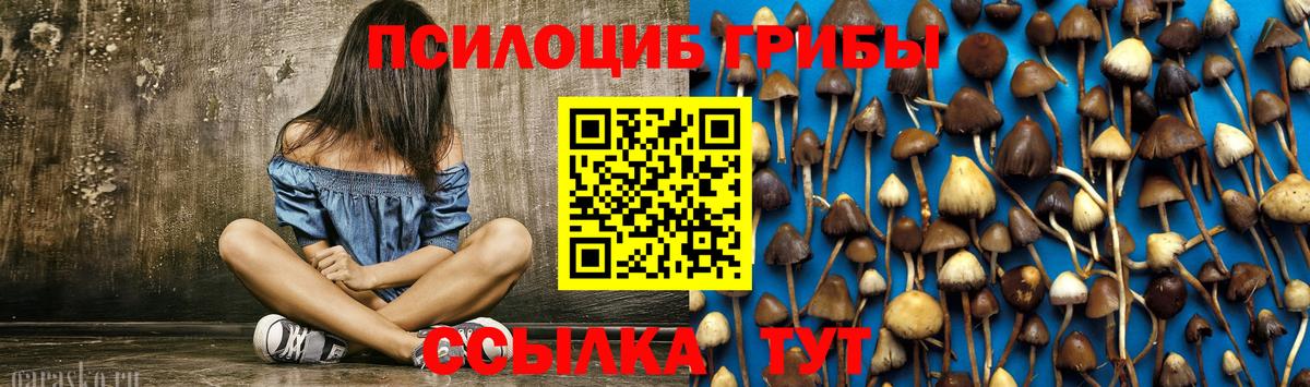 Псилоцибиновые грибы MAGIC MUSHROOMS  Вход с VPN  Галлюциногенные грибы Magic Shrooms  Комсомольск-на-Амуре 